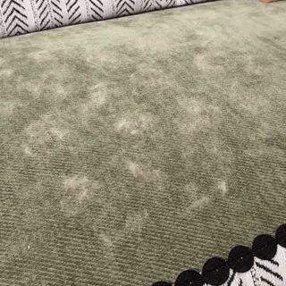 PawClean™ PRO | Guanto Rimuovi Peli